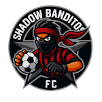 Teamlogo